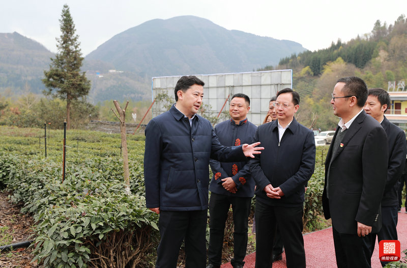 2021年3月6日 羅增斌在蓋頭村現(xiàn)代農(nóng)業(yè)園區(qū)調(diào)研（記者 賴(lài)杰 攝）.jpg
