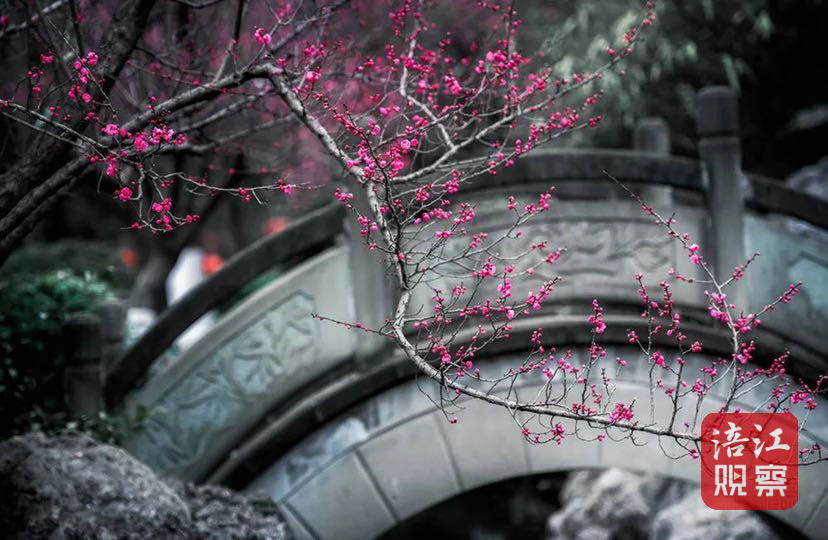 綿陽(yáng)3_1.jpg