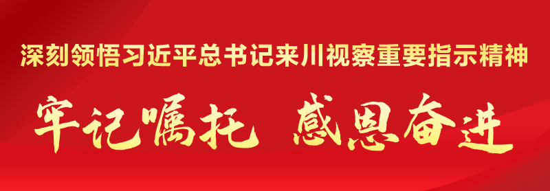 習(xí)近平總書記來(lái)川視覺重要指示精神.jpg