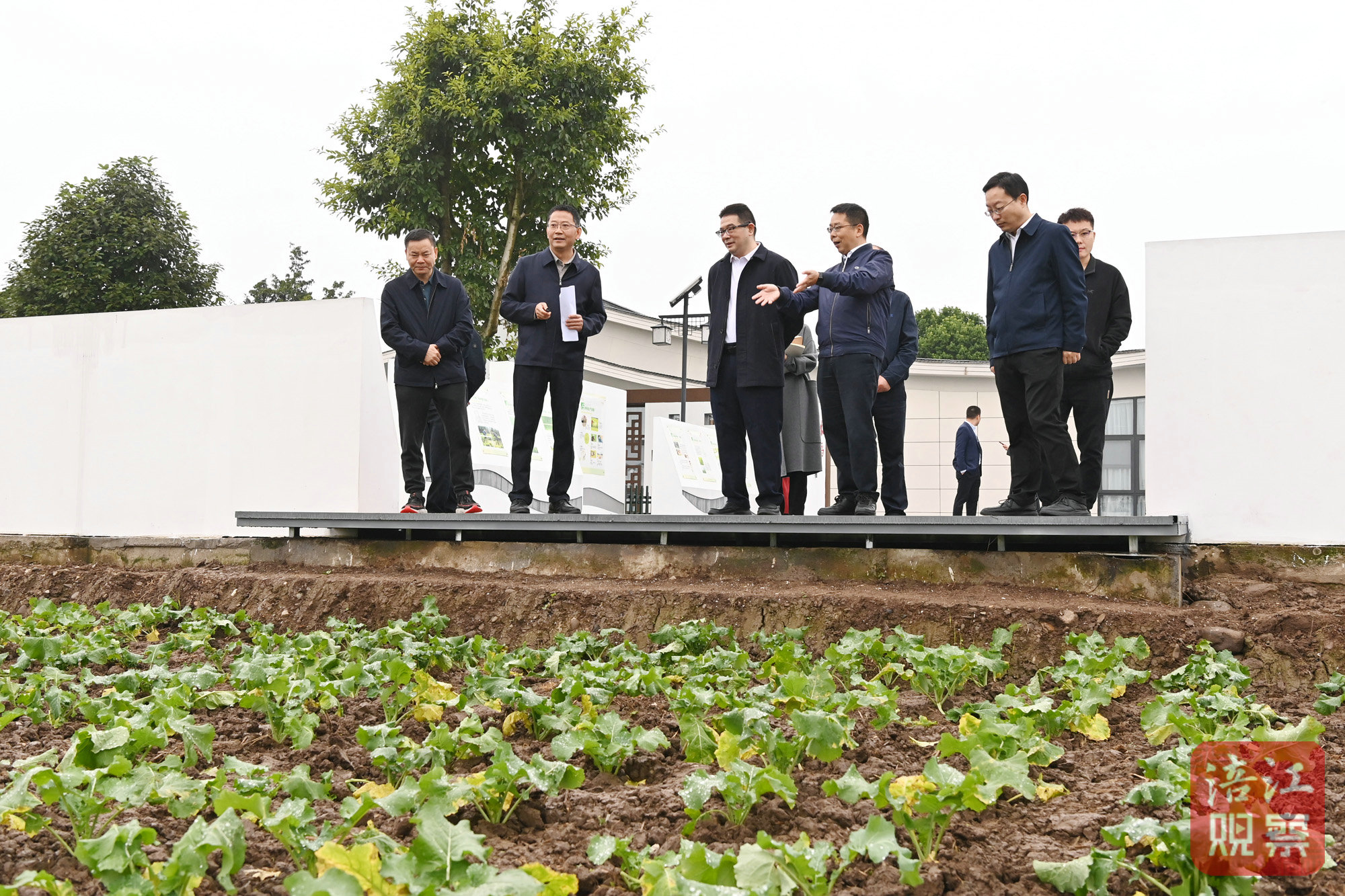 2024年11月10日，李云赴安州調(diào)研學(xué)習(xí)運用“千萬工程”經(jīng)驗4  張莉 攝.jpg