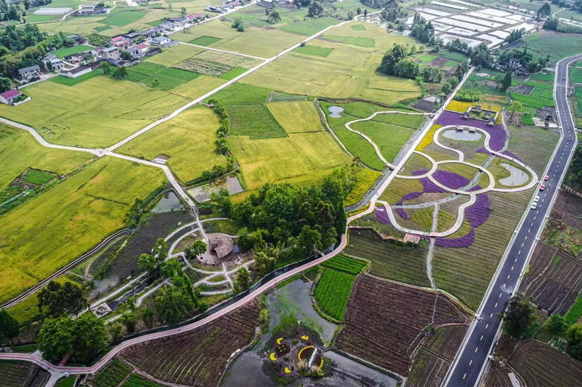 彭什川芎現(xiàn)代農(nóng)業(yè)園區(qū)航拍。敖平鎮(zhèn)供圖